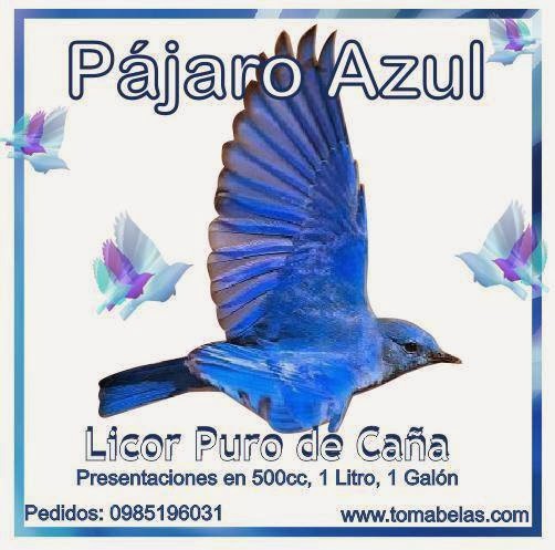 pajaro azul